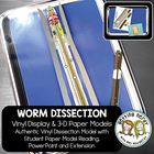 Scienstructable 3D Dissection Model&reg;: Earthworm Vinyl Manipulative and Digital Classroom Set