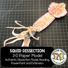 Scienstructable 3d Dissection Model Squid Paper Dissection