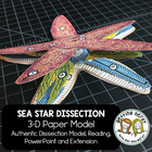 Scienstructable 3d Dissection Model Starfish Paper Dissection