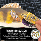 Scienstructable 3D Dissection Model&reg;: Perch Paper Dissection