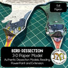 Scienstructable 3d Dissection Model Bird Paper Dissection