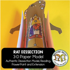 Scienstructable 3d Dissection Model Rat Paper Dissection