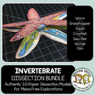 Scienstructable 3d Dissection Model Invertebrates Bundle