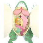 Origami Organelles&trade; 3-D Model Dissection Kits