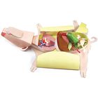 Origami Organelles&trade; 3-D Model Kit: Fetal Pig Dissection