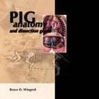 Pig Anatomy And Dissection Guide