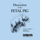 Dissection Of The Fetal Pig Guide