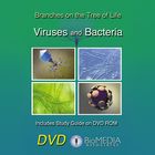 Branches on the Tree of Life: Viruses & Bacteria DVD