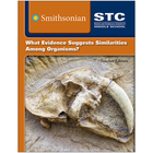 STC-Middle School&trade;, STC<sup>3</sup> Edition: What Evidence Suggests Similarities Among Organisms? Module Kit