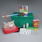 Building Blocks of Science&reg; A New Generation: Patterns All Around 