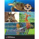 Building Blocks of Science&reg; A New Generation: Life in Ecosystems