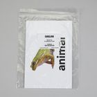 Photo Card Set, How Do Living Things Stay Safe and Grow Vocabulary