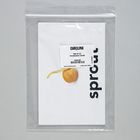 Photo Card Set, How Can We Find the Best Place for a Plant to Grow Vocabulary, 2nd Edition