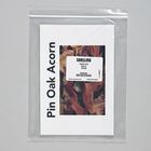 Card, Acorn, Pack of 8
