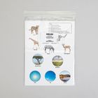 Template Card, African Savannah, Pack of 8