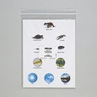 Template Card, Pond Ecosystem, Pack of 8