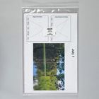 Card Sets, Pond Data, Pack of 8
