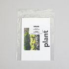 Photo Card Set, What Do Plants and Animals Need to Live Vocabulary