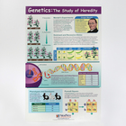 Genetics of Heredity Poster