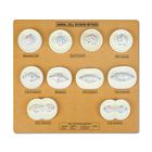 Eisco&reg; Animal Cell Mitosis Model Set