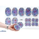 3B&reg; Animal Cell Meiosis Model Set