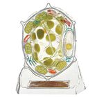 Somso&reg; Plant Cell Model