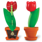 Plant Models