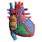 GIANTmicrobes&reg; Plush Human Anatomy Models