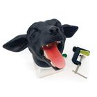 Canine Intubation Head Simulator
