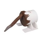 Canine Rectal Exam Task Trainer