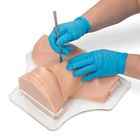 Life/form&reg; Cricothyrotomy Simulator