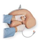 Life/form&reg; Catheterization Simulators