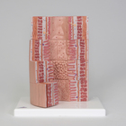 3B&reg; Microanatomy of the Digestive System Model