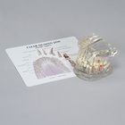 GPI Anatomicals&reg; Clear Human Jaw Pathology Model