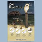 Carolina&#153; Owl Posters