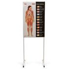 See-Through Sally&trade; Human Anatomy Chart Set