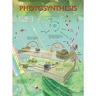 Photosynthesis Poster