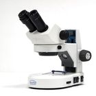 Wolfe&reg; Intermediate LED Stereomicroscopes, Inclined Rotatable Binocular Head