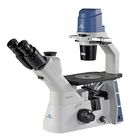 Accu Scope Exi 310 Ph Inverted Trinocular Microscope With Plan Phase Objectives