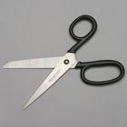 Teacher's Shears, 7 in
