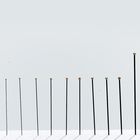 Insect Pins, Black Steel, Pack of 100