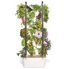 Gardyn&reg; Hydroponics Kits