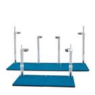 Multi-Pore Undergravel Filters