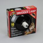 Porcelain Clamp Lamp, 10"