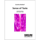 Sense Of Taste Digital Resources