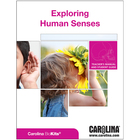 Exploring Human Senses Digital Resources