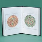 Ishihara Color Vision Test, Concise Edition