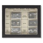 Forensic Tool Mark Displays