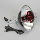 Brooder Lamp with Bulb