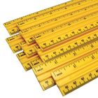 Ruler Plastic Scale Pack Of 12